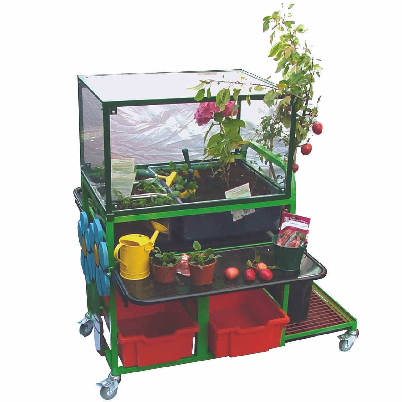 School Garden Planting Trolley With Greenhouse Cover  (1GDNGHC)